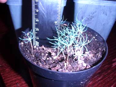 clip_image006_0003