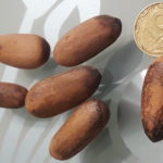 мартинеса 2